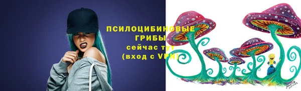 дживик Каменск-Шахтинский