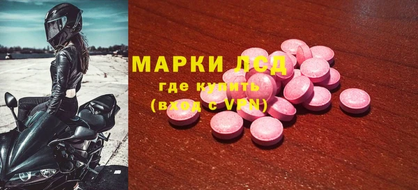 гидра Каменногорск