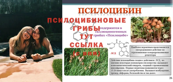 дживик Каменск-Шахтинский