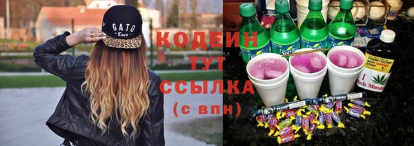 гидра Каменногорск