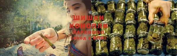 гидра Каменногорск
