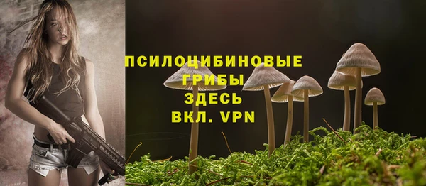 гидра Каменногорск