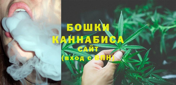 гидра Каменногорск
