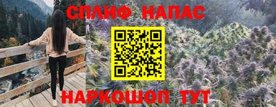 гашик Кимры