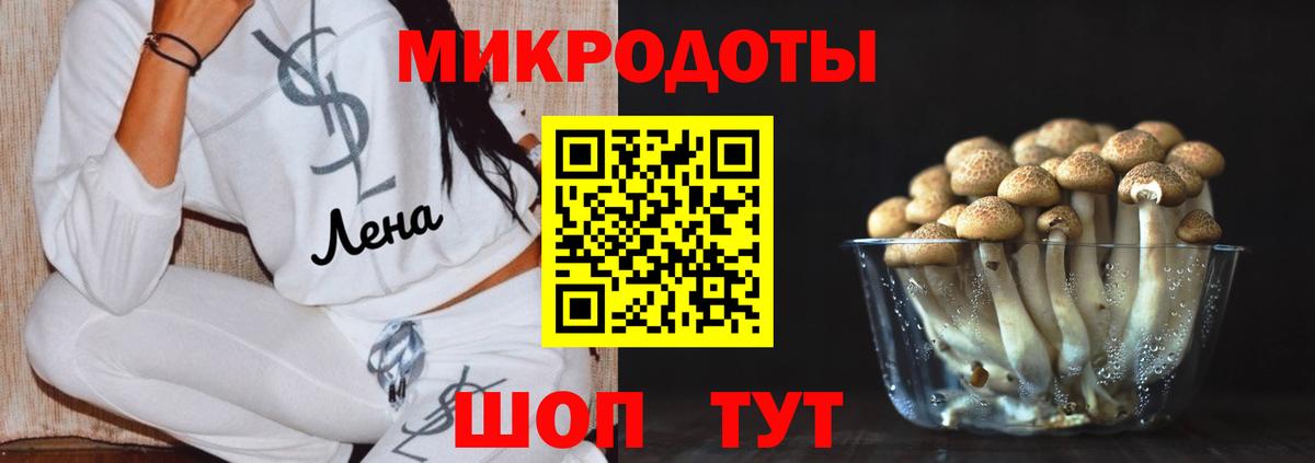 Нальчик  Псилоцибиновые грибы Psilocybine cubensis  Вход с VPN  Галлюциногенные грибы GOLDEN TEACHER 