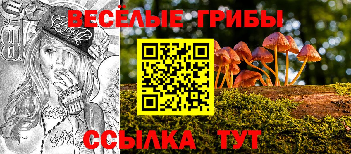 Псилоцибиновые грибы MAGIC MUSHROOMS Нальчик
